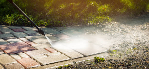 Best Animal Enclosure Cleaning  in Deerwood, TX